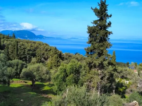7000 M² Plot Available In Corfu