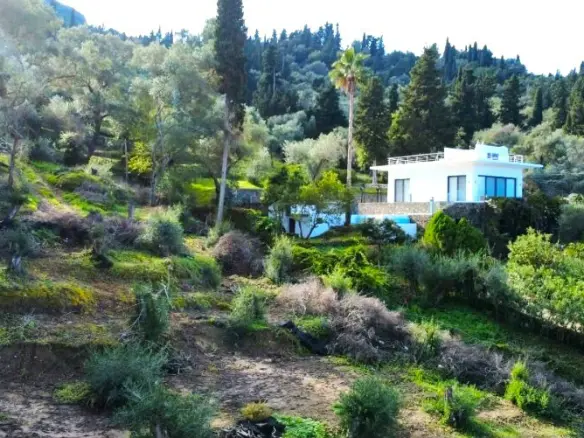 7000 M² Plot Available In Corfu