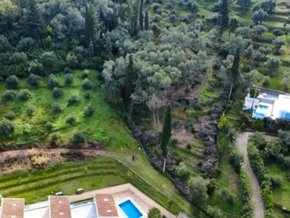 7000 M² Plot Available In Corfu
