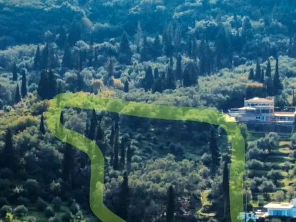 7000 M² Plot Available In Corfu