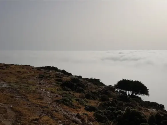 Land In Gazi, Greece