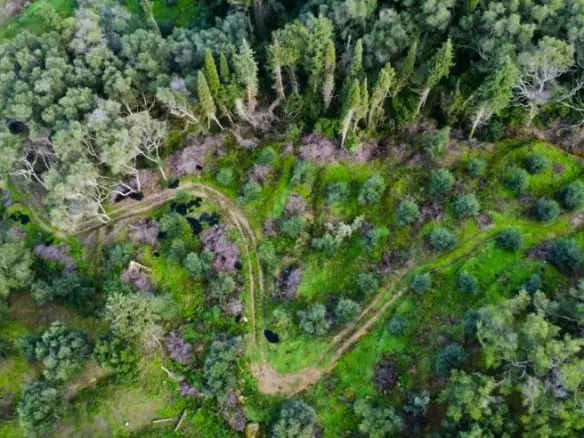 7000 M² Plot Available In Corfu
