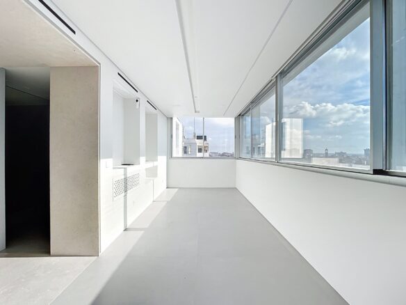 Penthouse Duplex With Terrace On Avenida Concha Espina