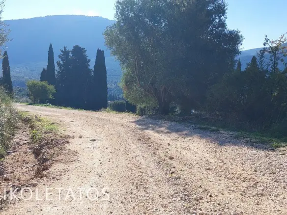 Vacant Land Parcel In Greece With Development Potential