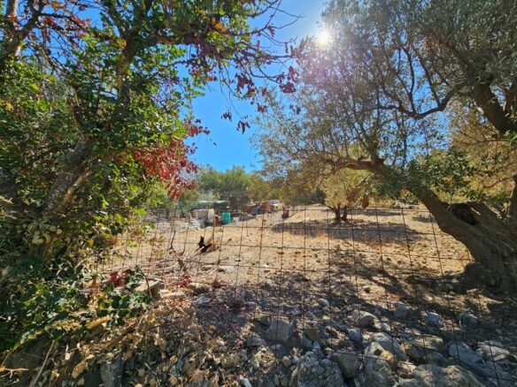 Land In Agios Nikolaos, Greece