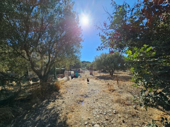 Land In Agios Nikolaos, Greece