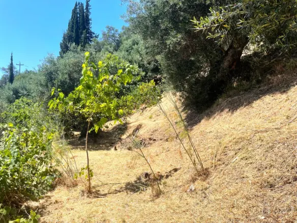 Land Plot 1700 M² Available In Corfu Region