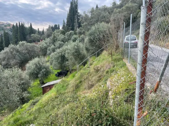 Land Plot 1700 M² Available In Corfu Region