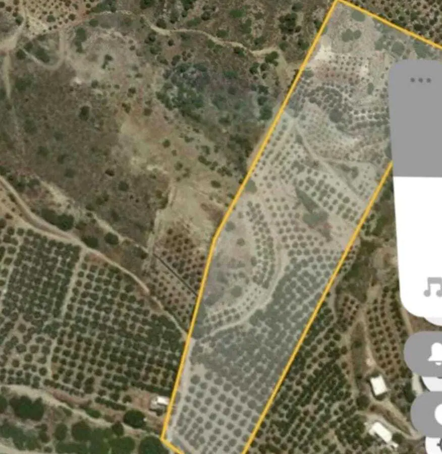 Land In Itanos, Greece