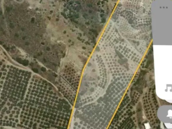 Land In Itanos, Greece