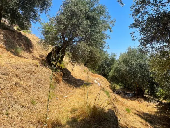 Land Plot 1700 M² Available In Corfu Region