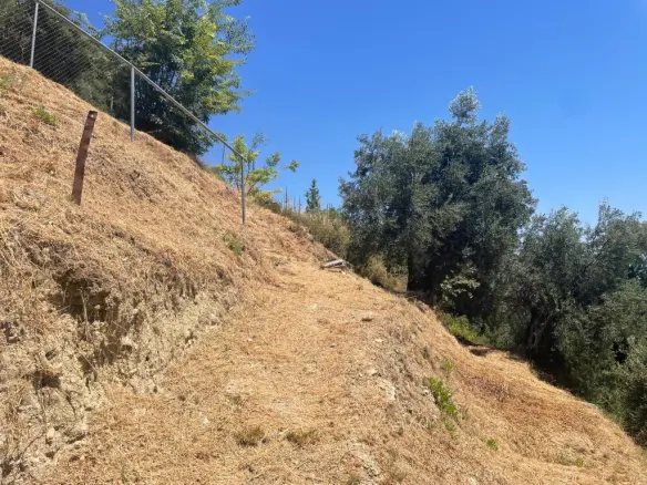 Land Plot 1700 M² Available In Corfu Region