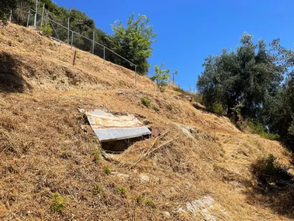 Land Plot 1700 M² Available In Corfu Region