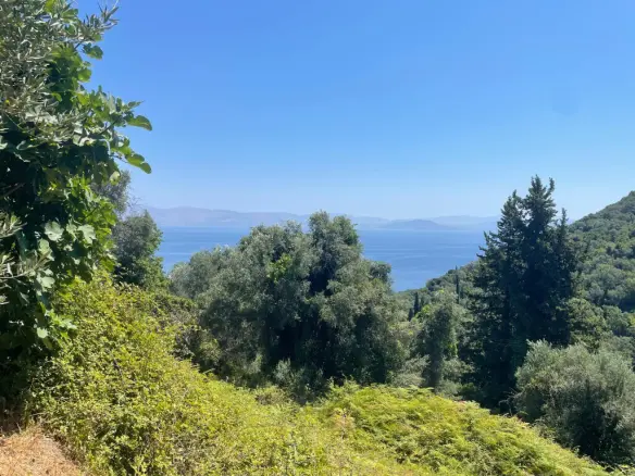 Land Plot 1700 M² Available In Corfu Region