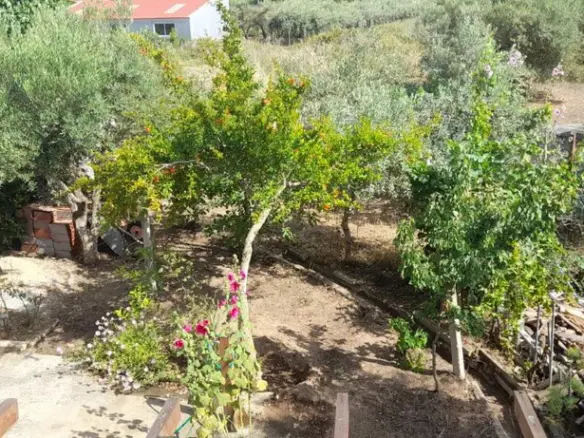 2-bedroom Building In Eleitheres, Greece (155 M²)