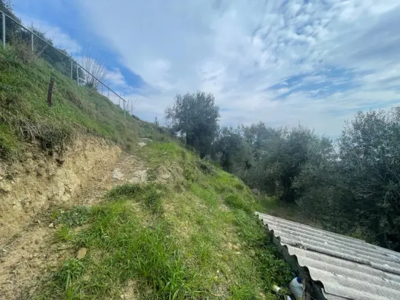 Land Plot 1700 M² Available In Corfu Region