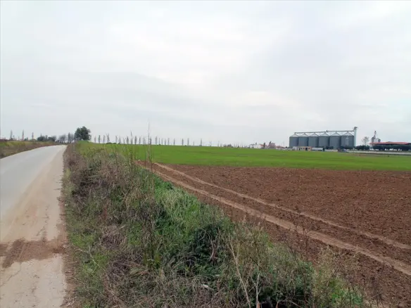 Plot Of 11570 M² Located In Thessaloniki Suburbs
