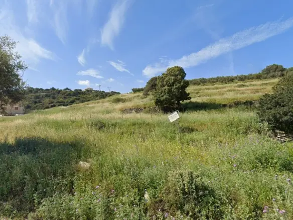 Plot Of 4150 M² Available In Zante Region