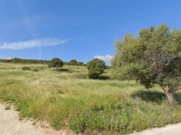 Plot Of 4150 M² Available In Zante Region