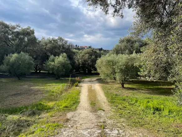 Detached House With Garden Area In Corfu