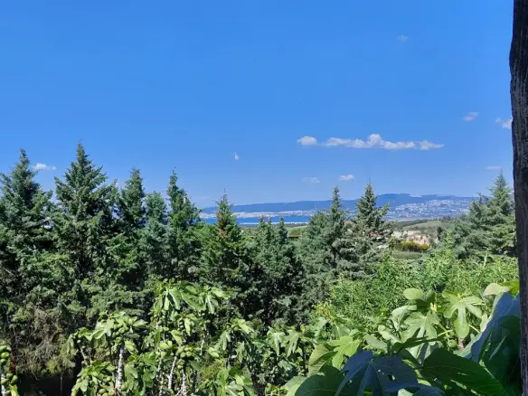 5-bedroom Detached House In Thermaikos, Greece (280 M²)