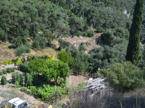 Land In Corfu, Greece