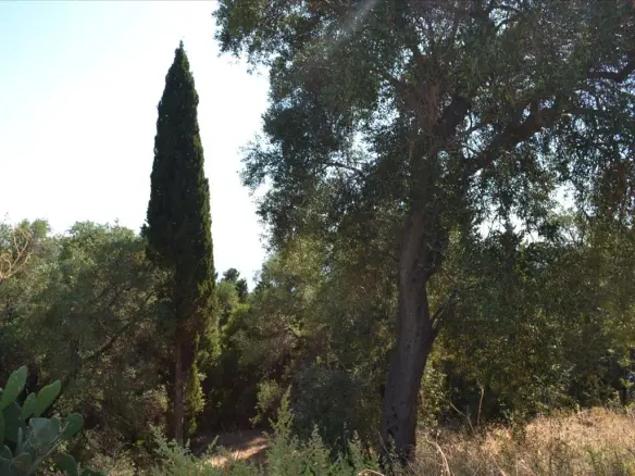 Land In Corfu, Greece