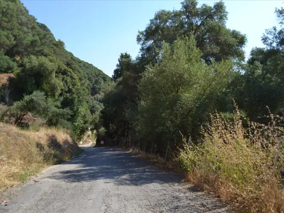 Land In Corfu, Greece