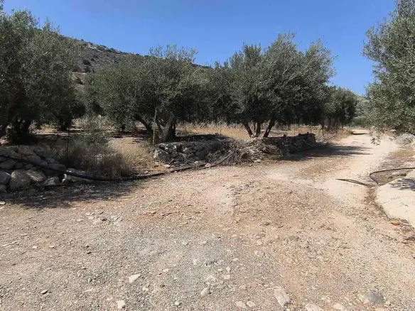 Land Parcel 2049 M² Located In Crete