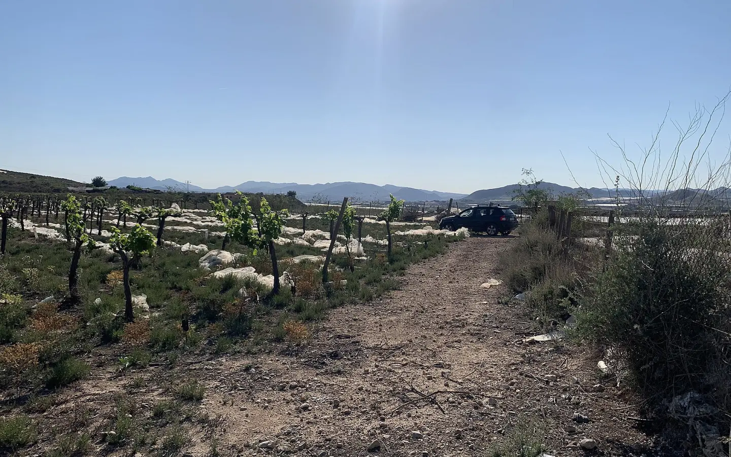 Land In Monforte Del Cid, Spain (17.816 M² Plot)
