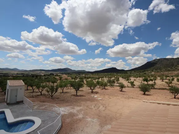 4-bedroom Detached Villa In Pinoso, Spain (245 M²)