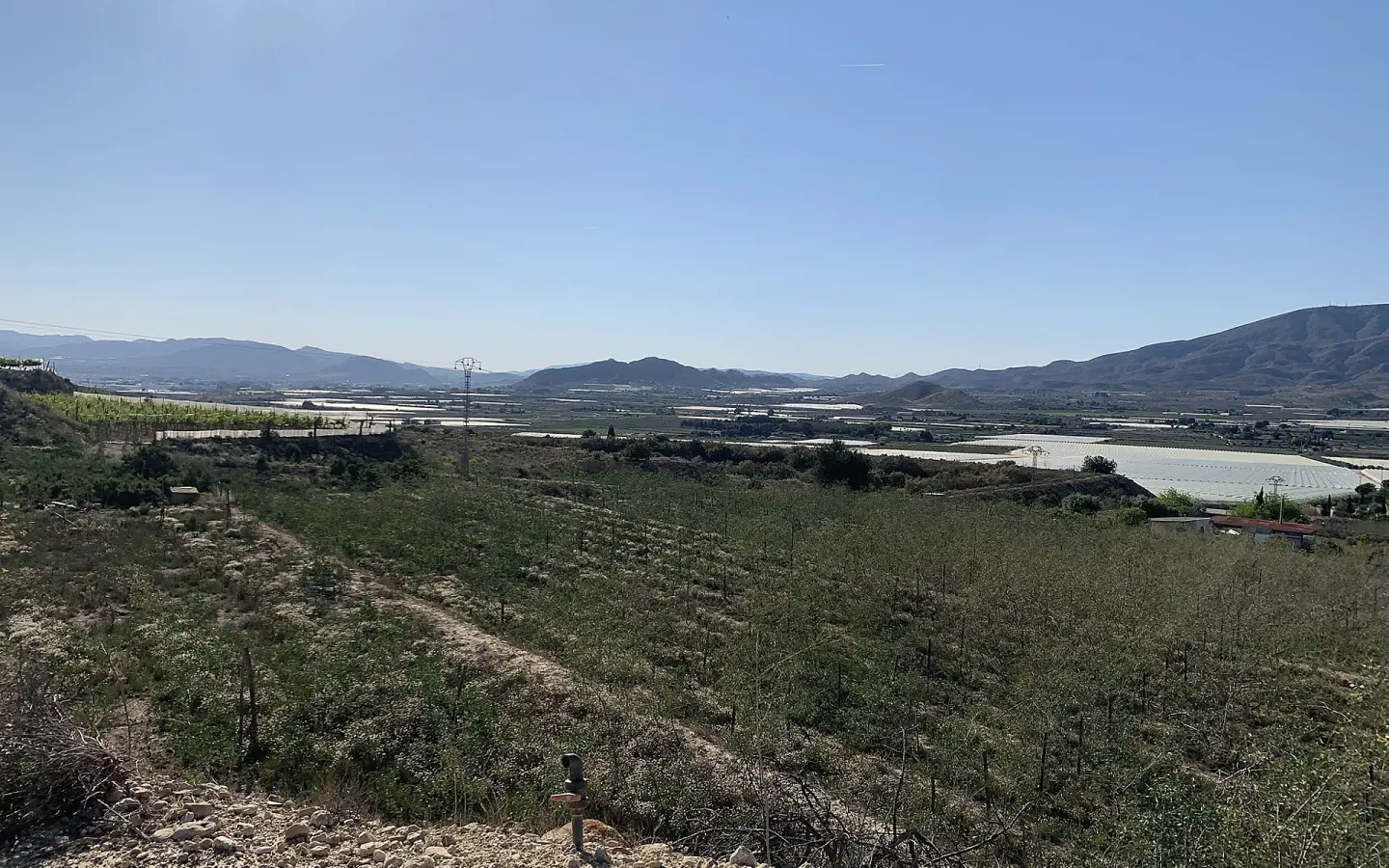Land In Monforte Del Cid, Spain (11.516 M² Plot)