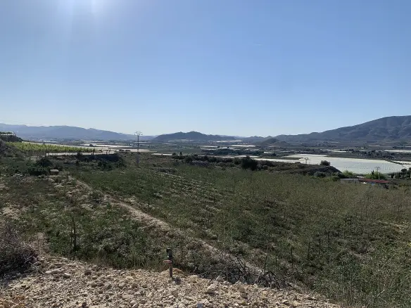Land In Monforte Del Cid, Spain (11.516 M² Plot)