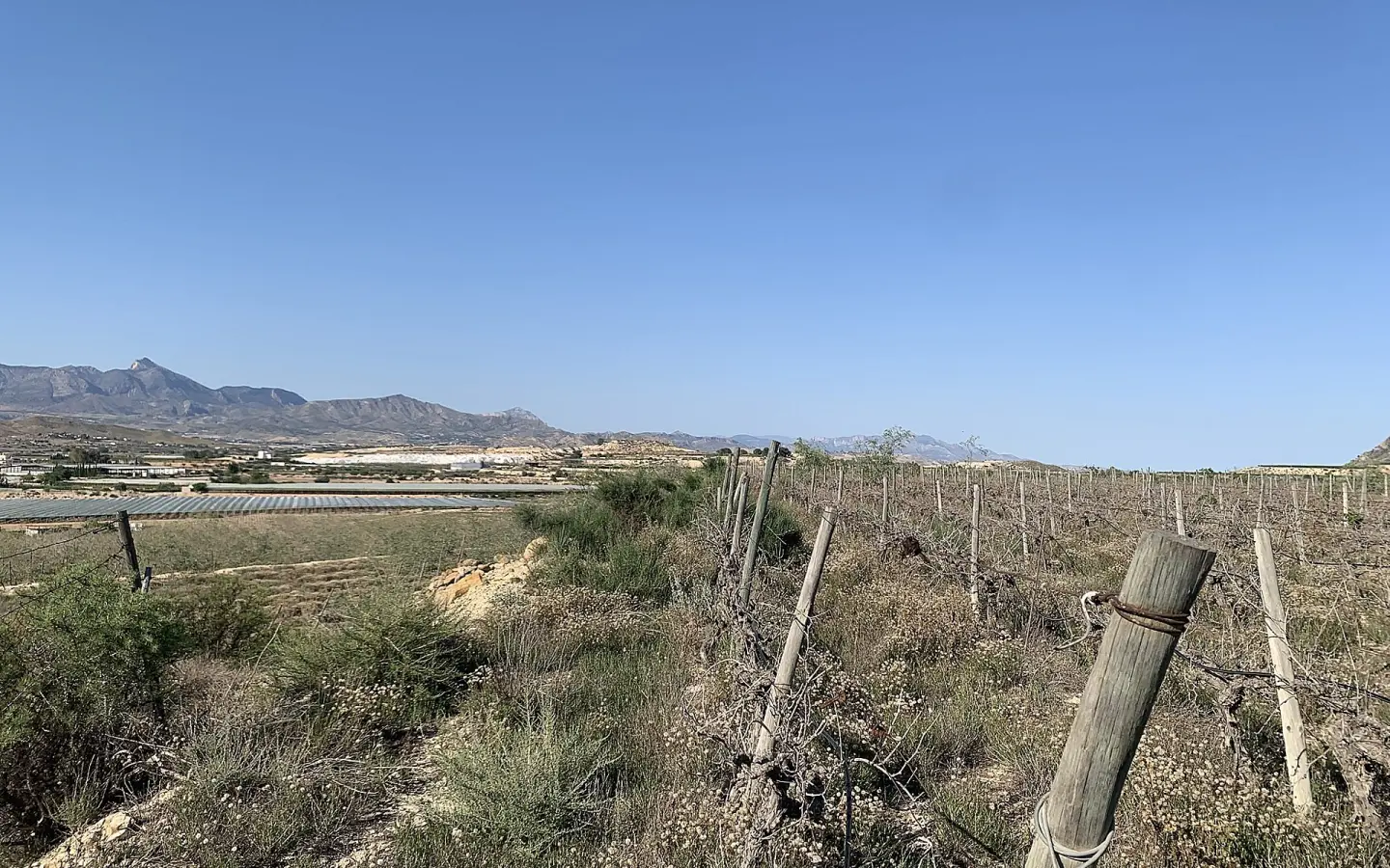 Land In Monforte Del Cid, Spain (11.516 M² Plot)