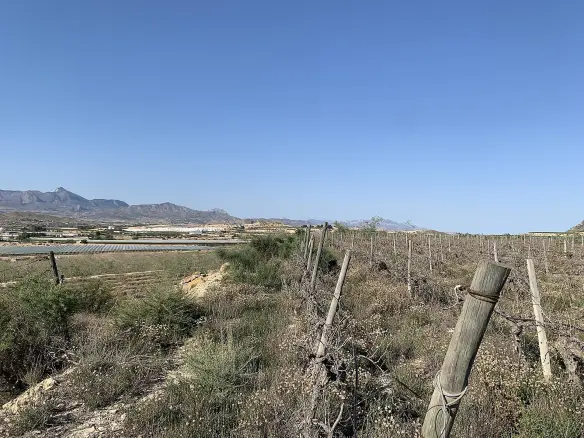Land In Monforte Del Cid, Spain (11.516 M² Plot)