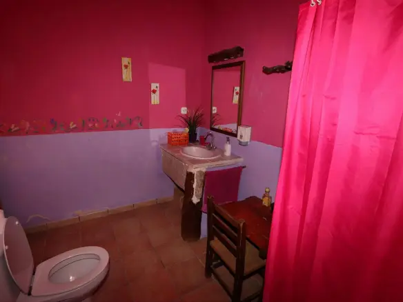10-bedroom Commercial In Pinoso, Spain (700 M²)