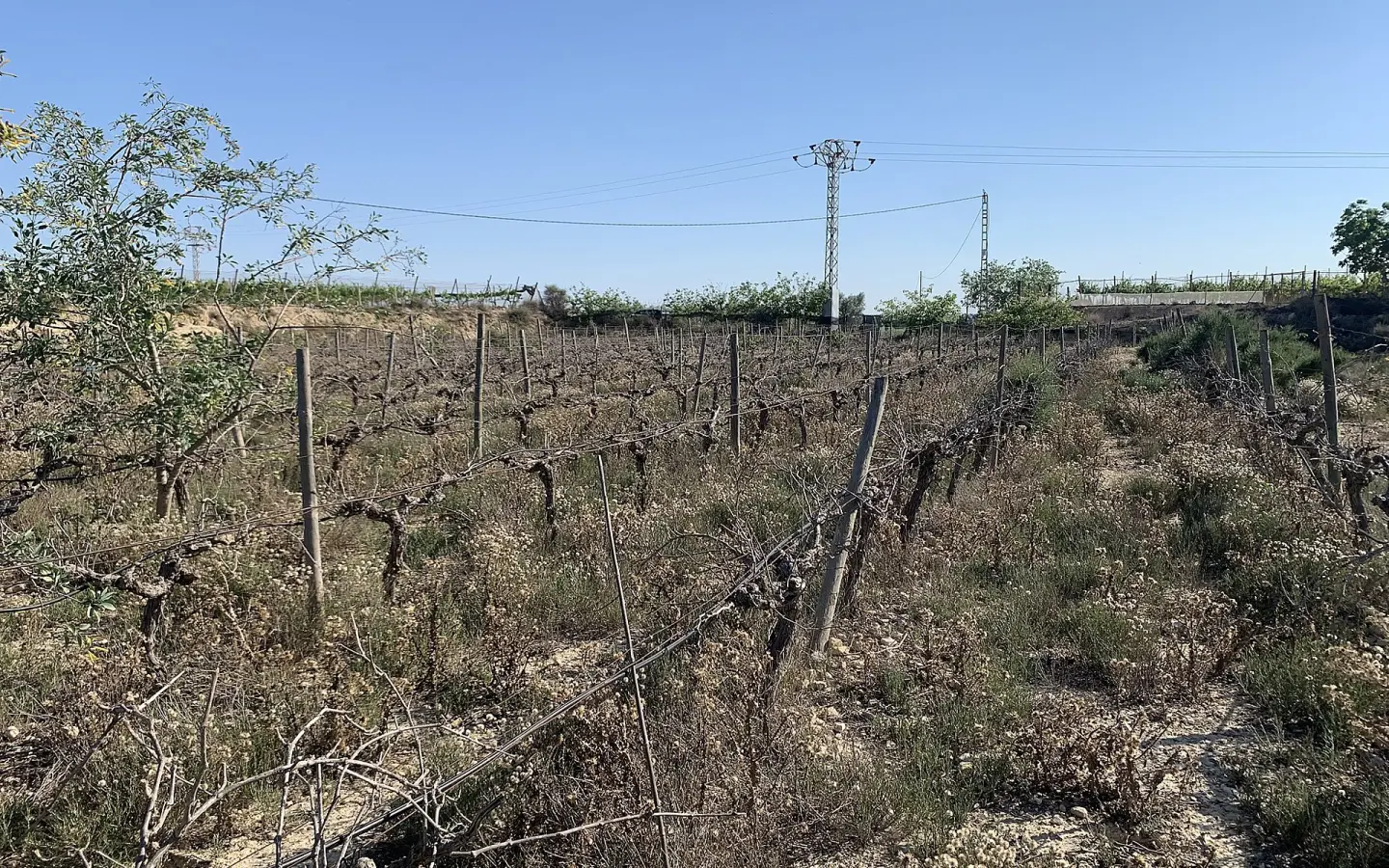 Land In Monforte Del Cid, Spain (11.516 M² Plot)