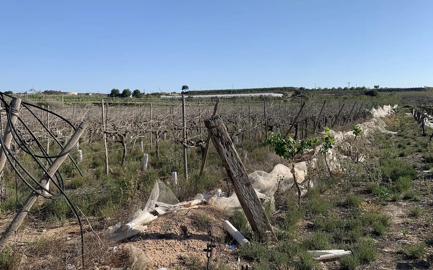 Land In Monforte Del Cid, Spain (17.816 M² Plot)