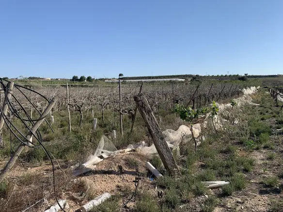 Land In Monforte Del Cid, Spain (17.816 M² Plot)