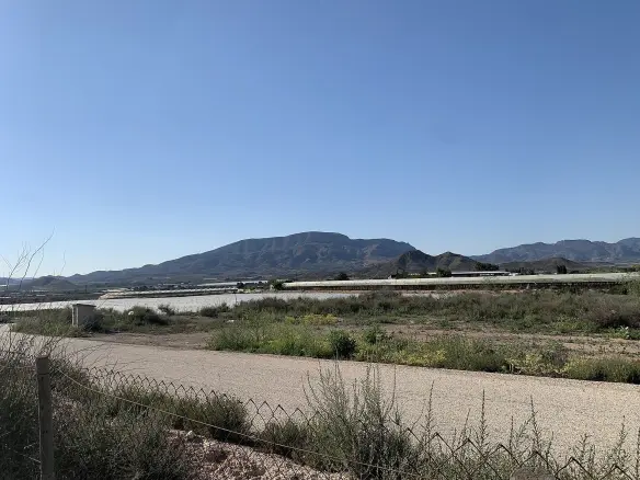Land In Monforte Del Cid, Spain (17.816 M² Plot)
