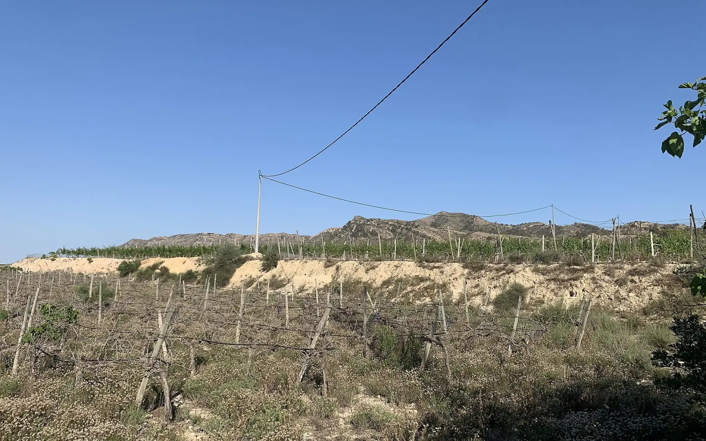 Land In Monforte Del Cid, Spain (11.516 M² Plot)