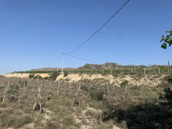 Land In Monforte Del Cid, Spain (11.516 M² Plot)