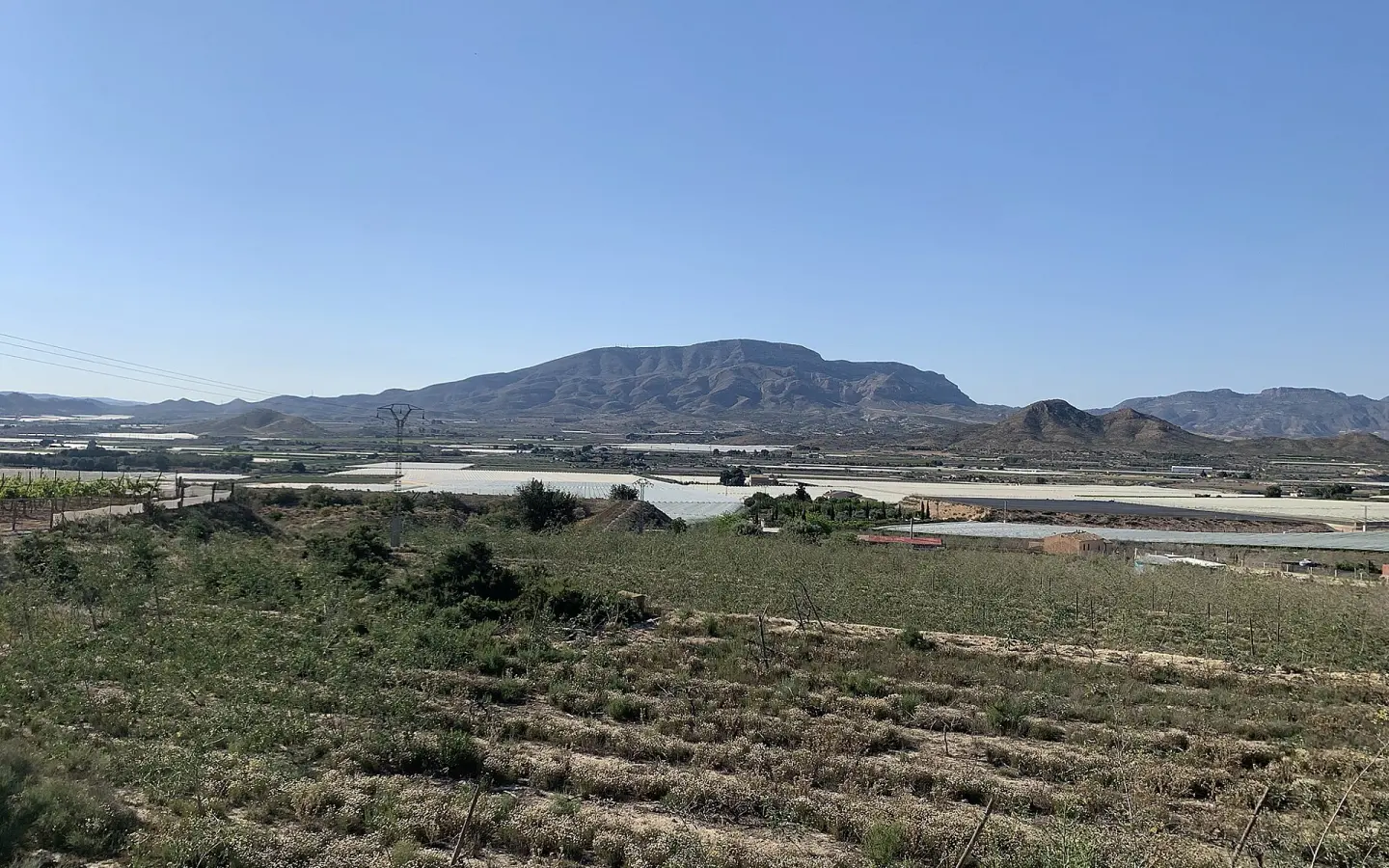 Land In Monforte Del Cid, Spain (11.516 M² Plot)