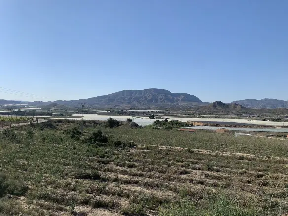 Land In Monforte Del Cid, Spain (11.516 M² Plot)