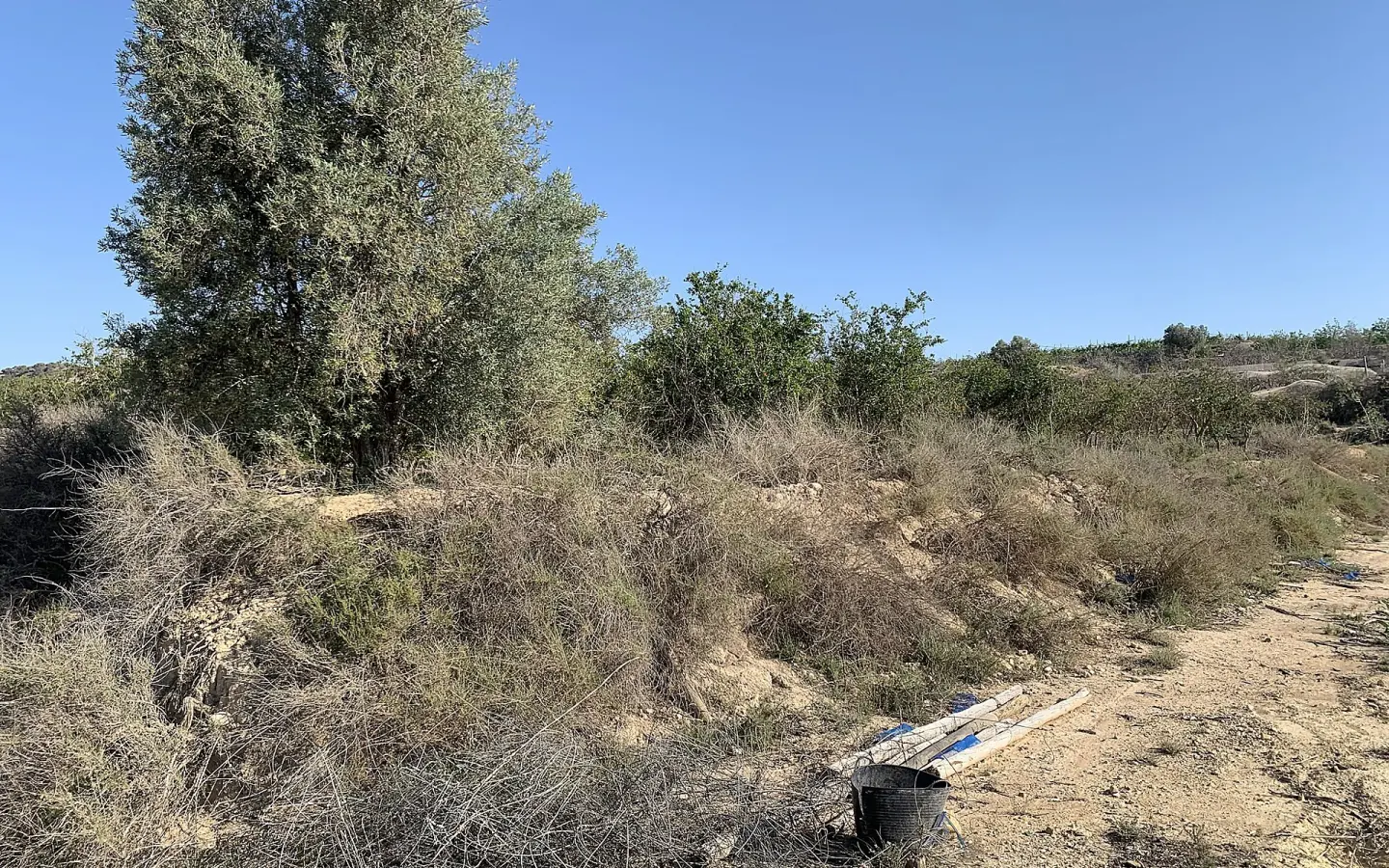 Land In Monforte Del Cid, Spain (17.816 M² Plot)