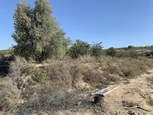 Land In Monforte Del Cid, Spain (17.816 M² Plot)