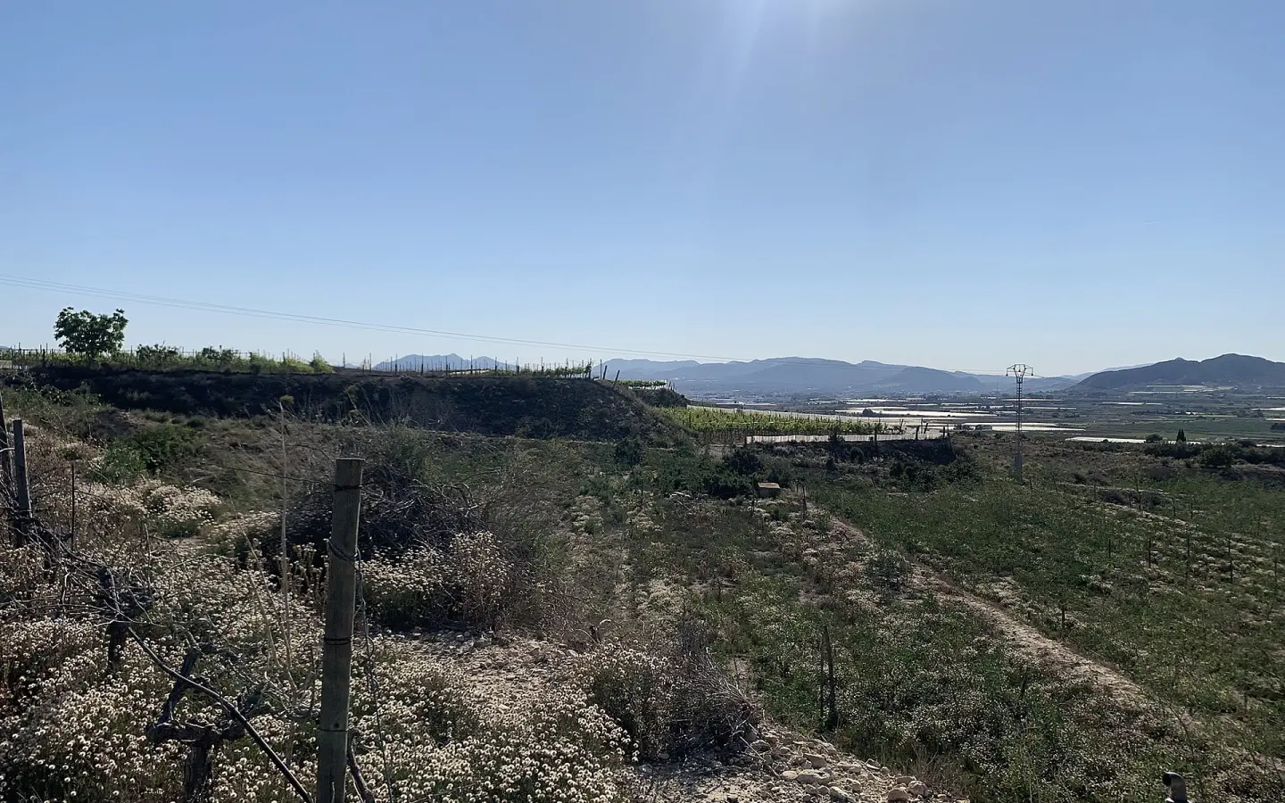 Land In Monforte Del Cid, Spain (11.516 M² Plot)