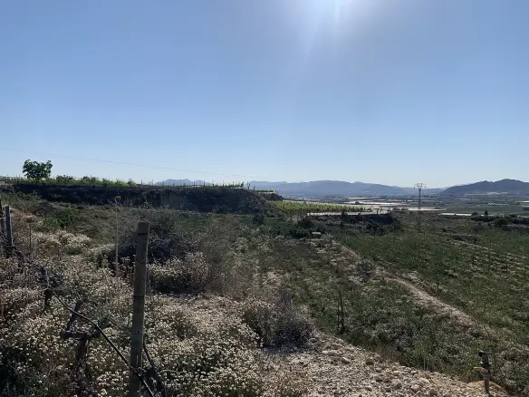 Land In Monforte Del Cid, Spain (11.516 M² Plot)