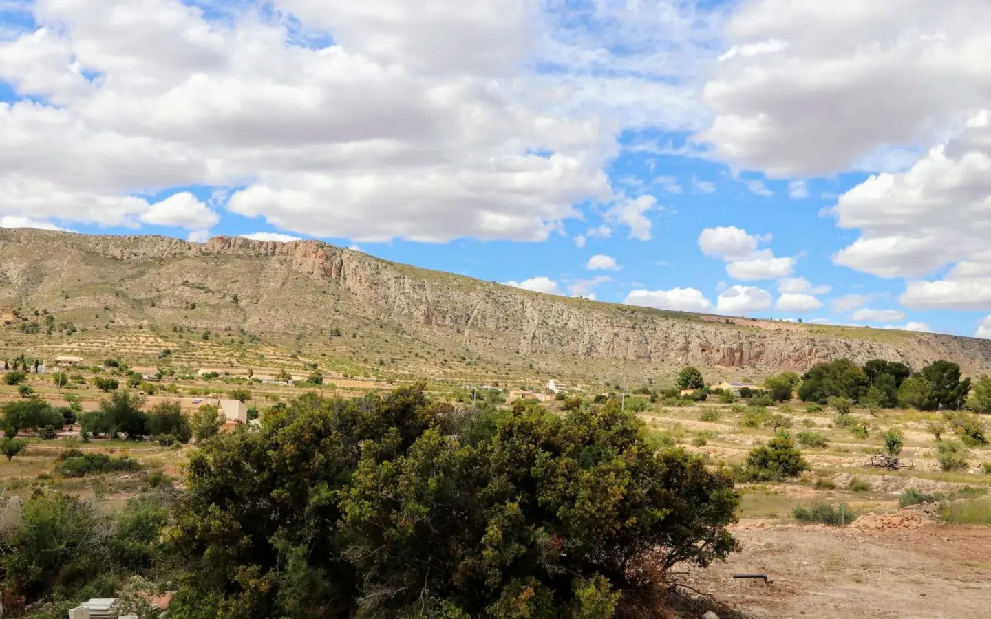 4-bedroom Detached Villa In Aspe, Spain (155 M²)