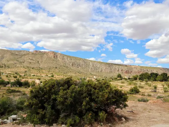 4-bedroom Detached Villa In Aspe, Spain (155 M²)